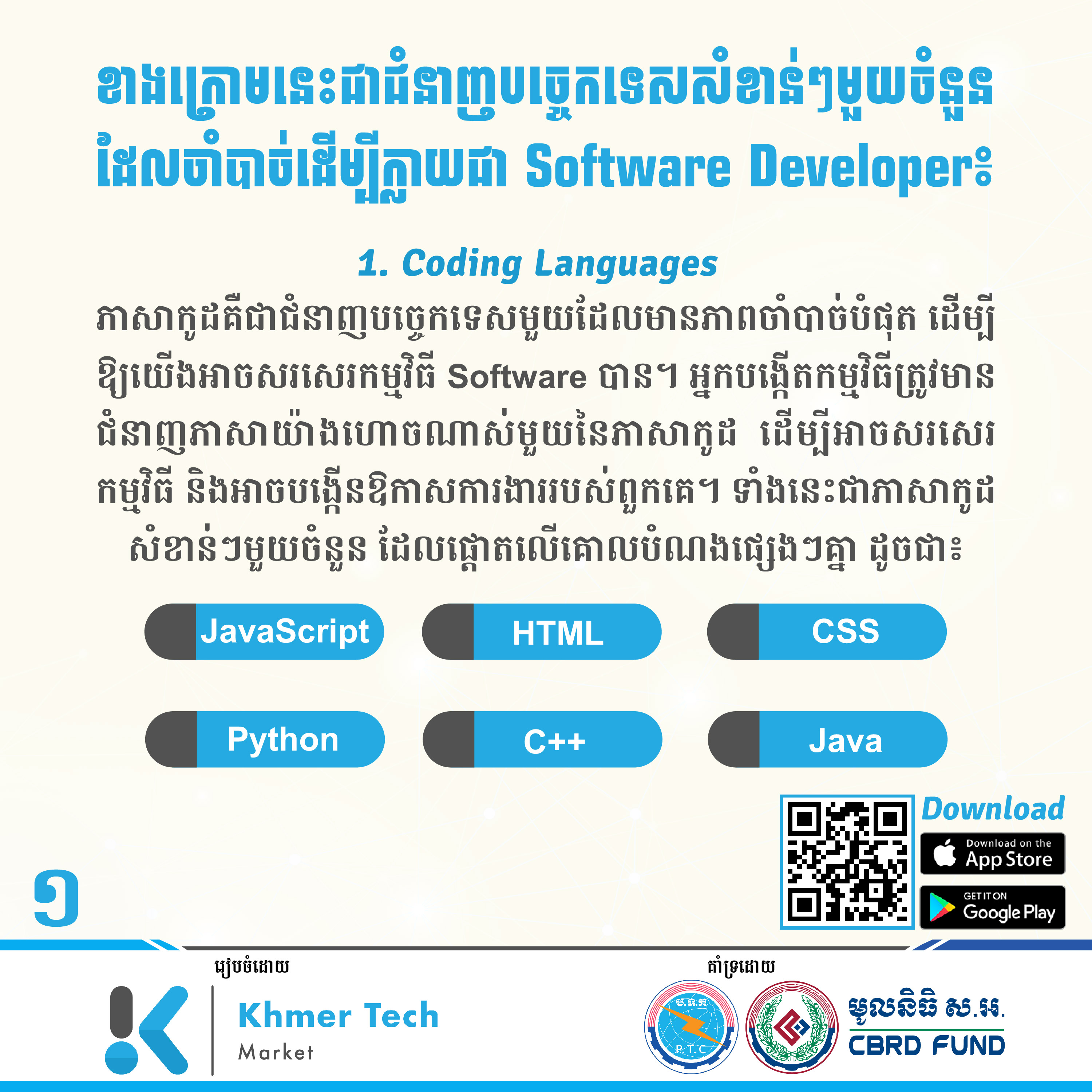  software developer